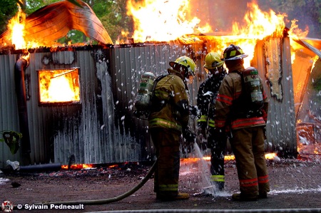 Incendie d'une érablière