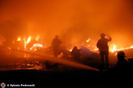 Feu d'érablière