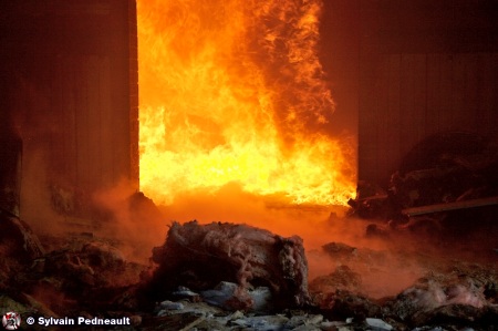 Lentille-com-015564.jpg