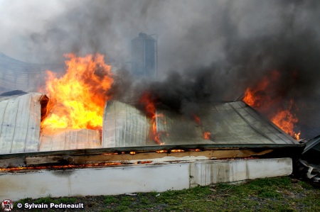 Feu de porcherie à St-Paul-d'Abbotsford