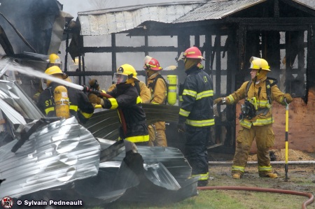 Lentille-com-021949.jpg