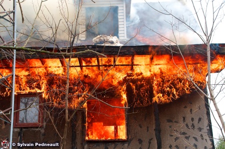 Lentille-com-074424.jpg