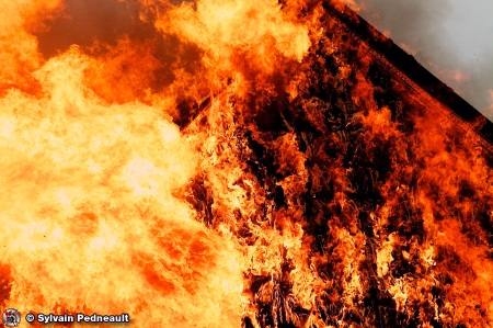 Lentille-com-081539.jpg